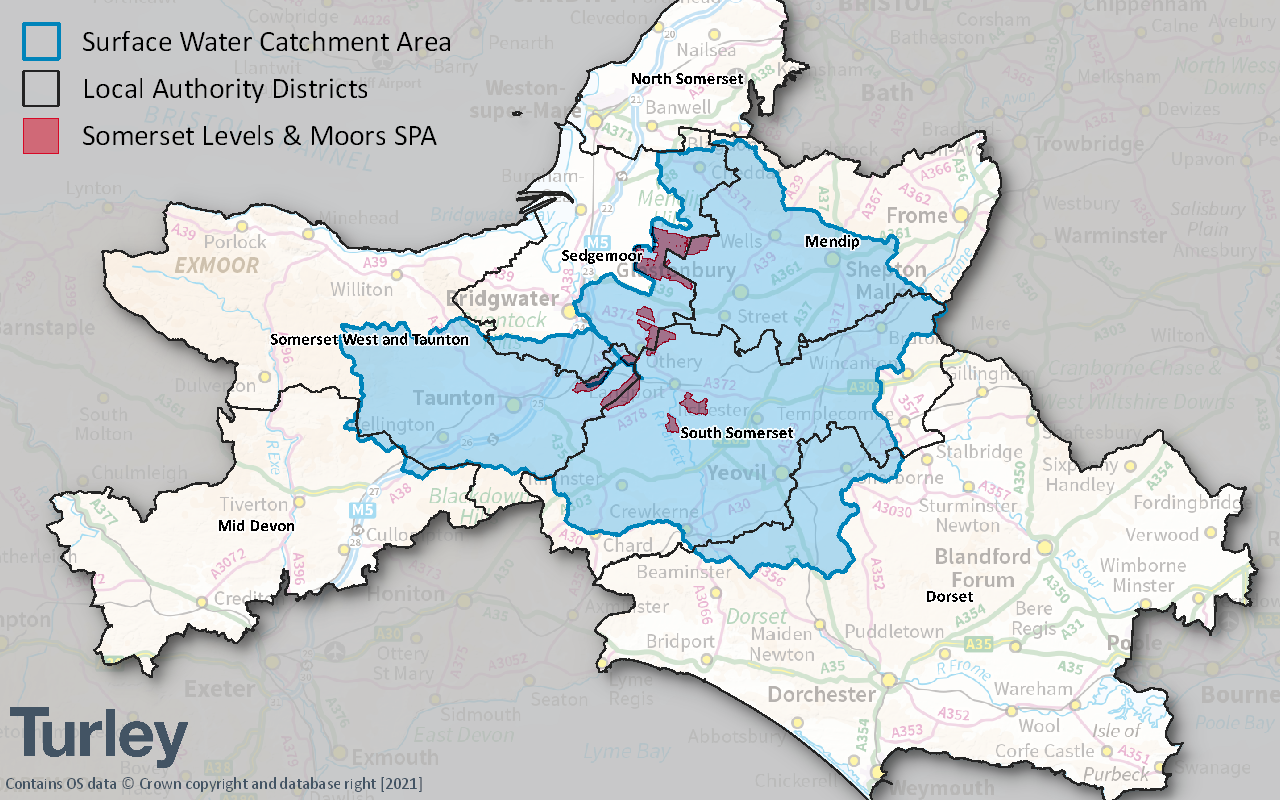 Nutrient neutrality in Somersert map